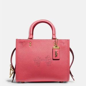 Coach X Rogue with Mickey and Minnie Mouse.